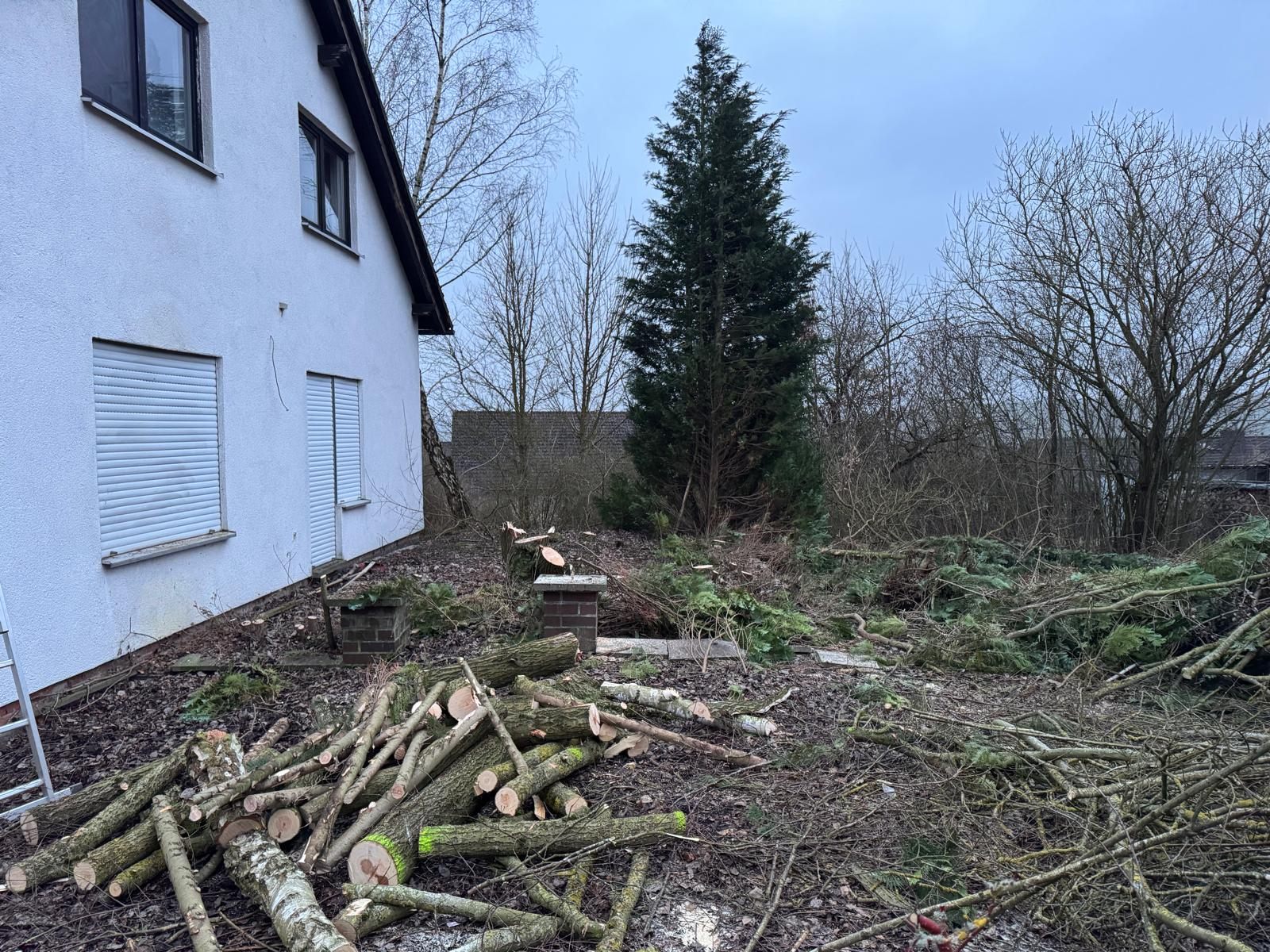 Gartenräumung Grünschnitt Abtransport